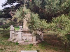 -北陵公园