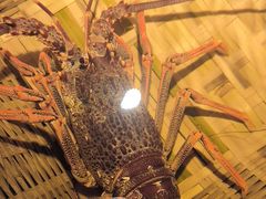 -拉完海鲜大排档(温岭店)