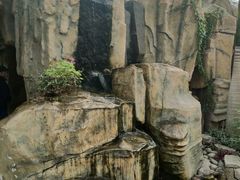 -南宫五洲植物乐园