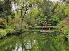 -南山植物园