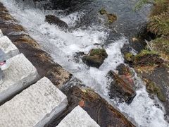 -贵阳市花溪国家城市湿地公园