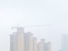 -老梅园大虾城(河西店)