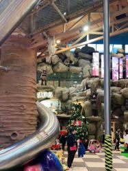 -卡通尼·Safari非洲探索乐园·生日会(金桥国际商业广场店)