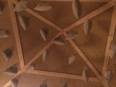 -汤森悠生活文化汤(江宁万达店)
