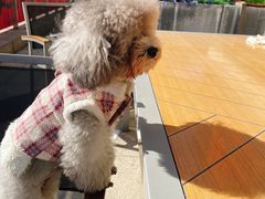 -麦当劳(塔园路店)