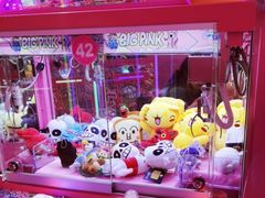 -BIG PINK大粉娃娃机主题馆(圆融星座店)