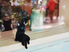 -上海鲜花港