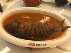 -阿五黄河大鲤鱼(纬三路店)