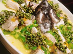 青青椒麻龙胆鱼-CHIC1699远洋私厨