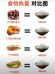 -Fundi张玉珊修身堂·indiba·BTL科技瘦身