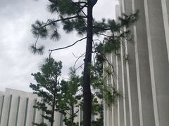 -中国宣纸文化园