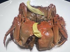 -A One Kitchen·南京精菜馆(德基广场店)