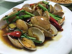 葱姜炒花蛤-鑫悦楼煎蟹·16年海鲜大排档