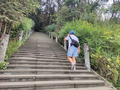 -铁山坪森林公园