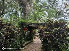 -海南热带野生动植物园