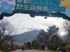 -秦岭欢乐世界