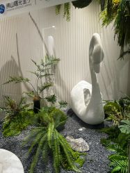 -佛山曙光金子医学美容医院