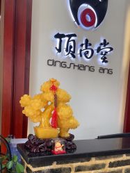 -顶尚堂白发脱发养发