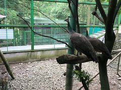 -藏龙百瀑风景区