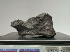 -志强陨石馆(双季花艺店)