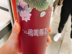 乌梅汁·梅溪源-鸡鸣赐茶(鸡鸣寺路店)