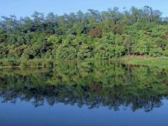 -南宁良凤江国家森林公园