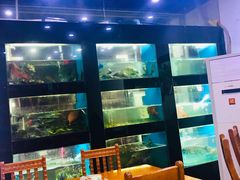 -全乐鱼馆·淳牌有机鱼直营店