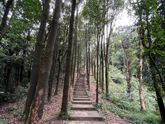 -广州市帽峰山景区