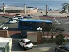 -黄海国家森林公园