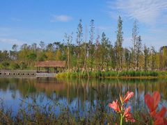 -白鹭湾湿地公园