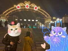 -武汉知音号