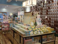 -猫的天空之城概念书店(束河店)