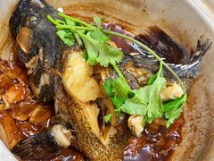 招牌香锅龙胆斑-鑫鸿达·海鲜闽菜热炒小馆(中山路店)