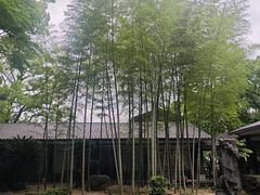 -南山植物园
