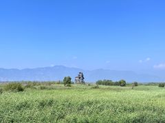 -野鸭湖国家湿地公园