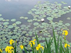 -白鹭湾湿地公园