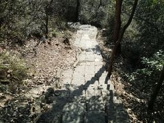 -杭州半山国家森林公园