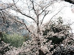 -浙江大学(玉泉校区)