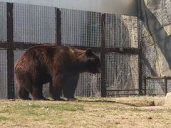 -祥源·阜阳生态乐园