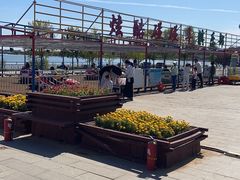 -武清南湖绿博园