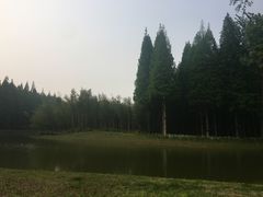 -黄海国家森林公园