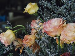 -WATER CAFE(广厦店)