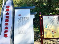 -黄埔油麻山森林公园