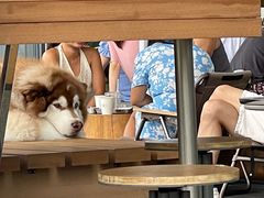 -SAANCI山池咖啡(海上世界文化艺术中心店)