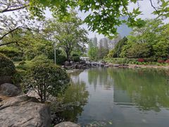-新虹桥中心花园