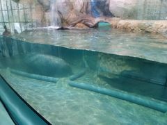 -福州罗源湾海洋世界旅游区