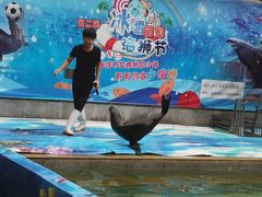 -航空小镇温泉