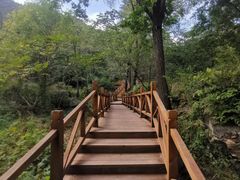 -大岭沟猕猴桃谷风景区