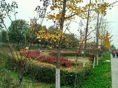 -汉景帝阳陵博物院