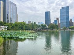 -后襄河公园